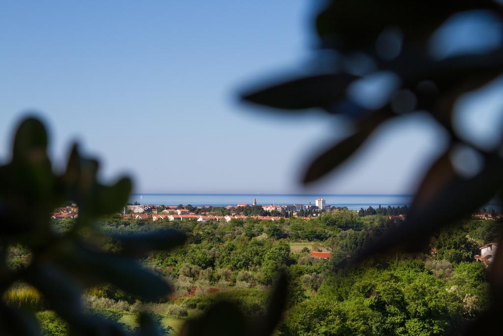 Hotel Arte Casa 3*