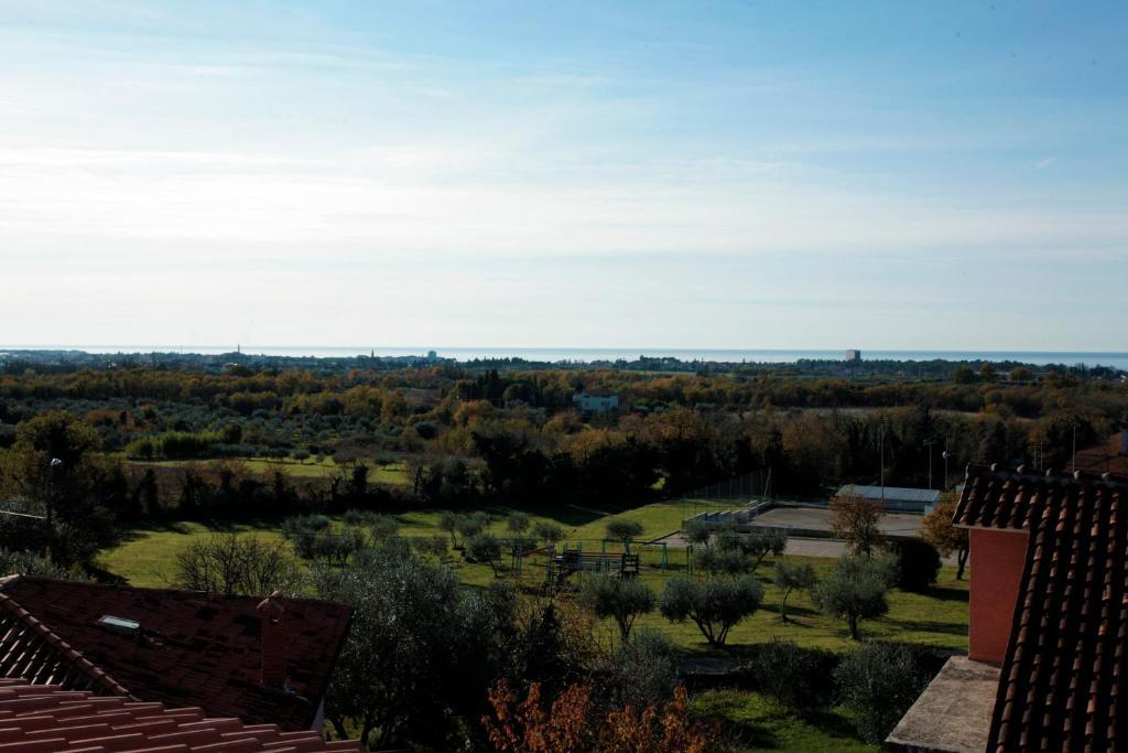 Arte Casa Murine